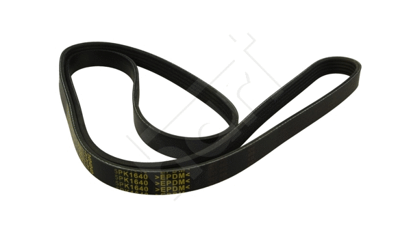 V-Ribbed Belt (368 877)