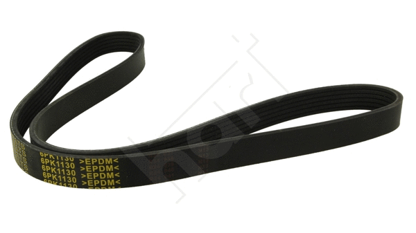 V-Ribbed Belt (368 917)