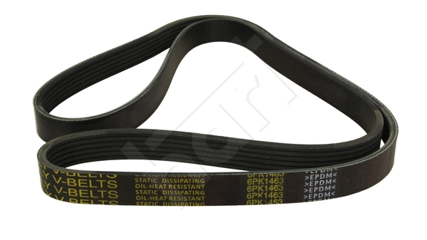 V-Ribbed Belt (334 021)