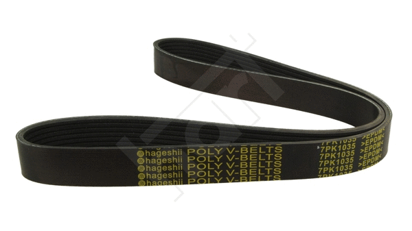 V-Ribbed Belt (369 004)