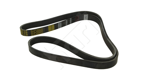 V-Ribbed Belt (334 320)