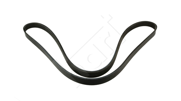 V-Ribbed Belt (930 681)