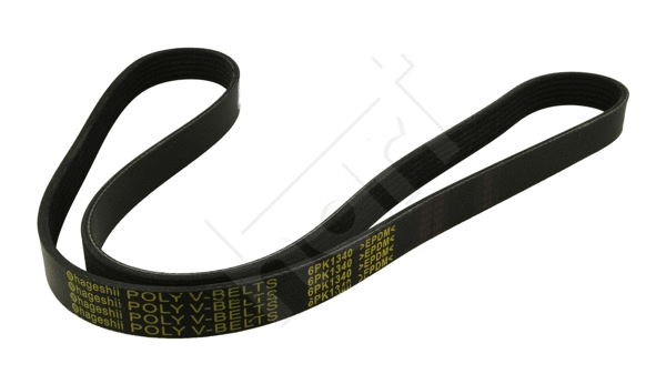 V-Ribbed Belt (368 931)