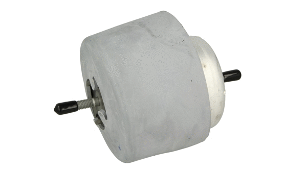Mounting, engine (387 816)