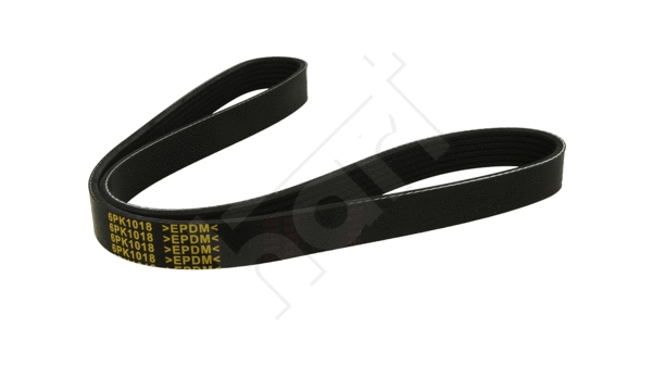 V-Ribbed Belt (368 912)