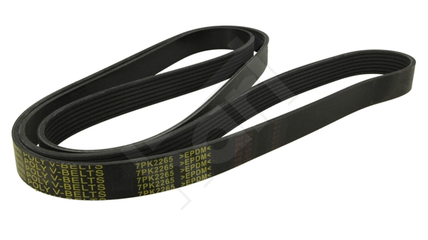 V-Ribbed Belt (369 017)