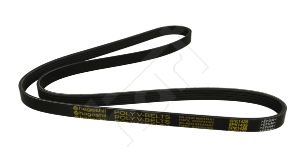 V-Ribbed Belt (338 075)
