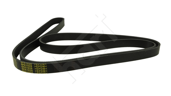 V-Ribbed Belt (368 973)