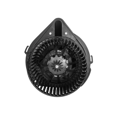 Interior Blower (641 091)