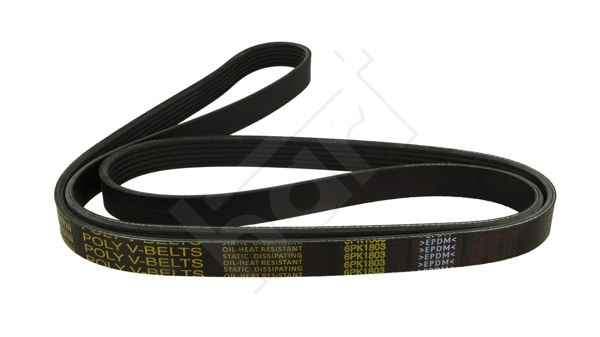 V-Ribbed Belt (338 070)