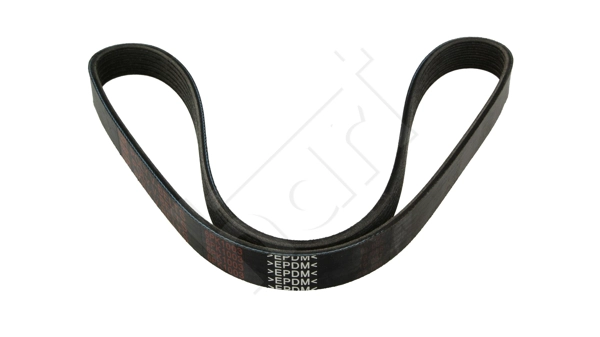 V-Ribbed Belt (930 684)