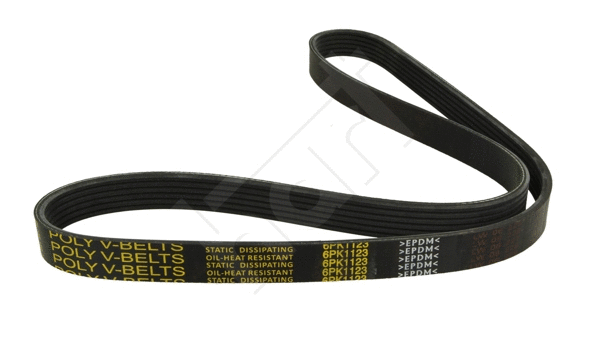 V-Ribbed Belt (338 067)