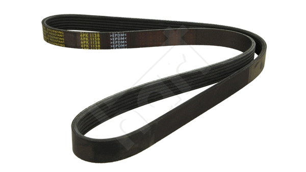 V-Ribbed Belt (331 876)