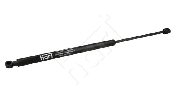 Gas Spring, boot/cargo area (810 385)