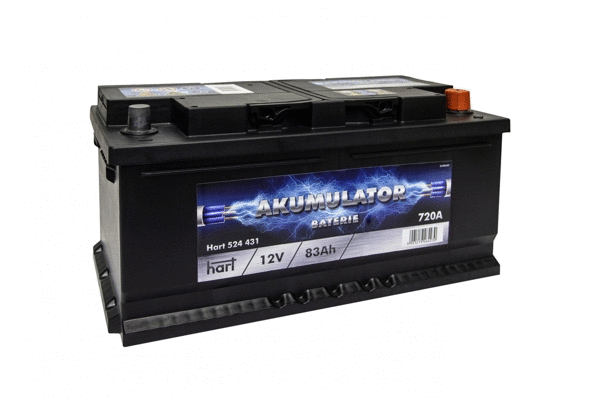 Starter Battery (524 431)