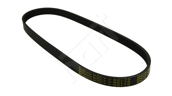 V-Ribbed Belt (368 894)