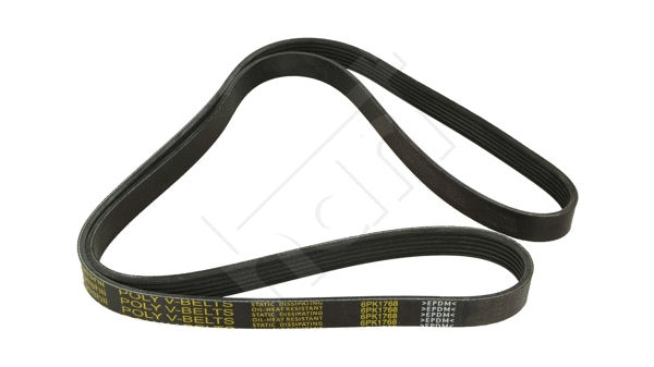 V-Ribbed Belt (917 773)