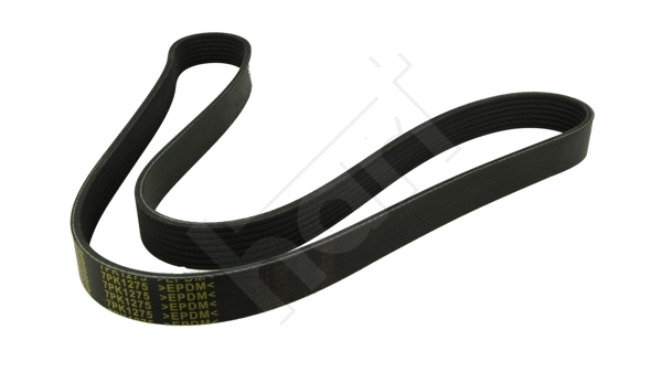 V-Ribbed Belt (369 008)