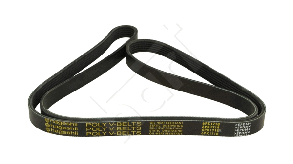 V-Ribbed Belt (338 069)