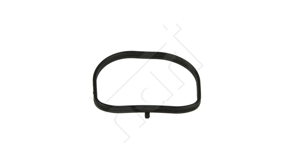 Gasket, intake manifold (717 047)