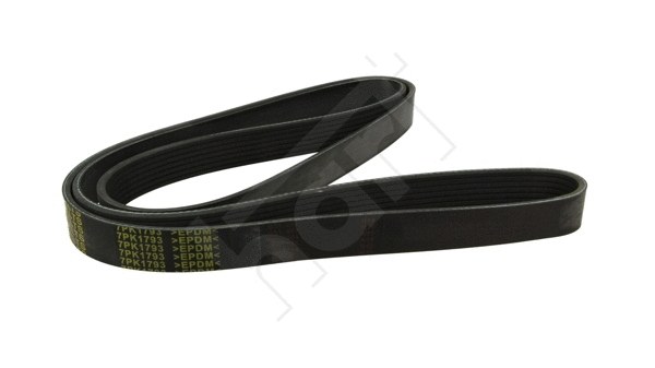 V-Ribbed Belt (369 011)