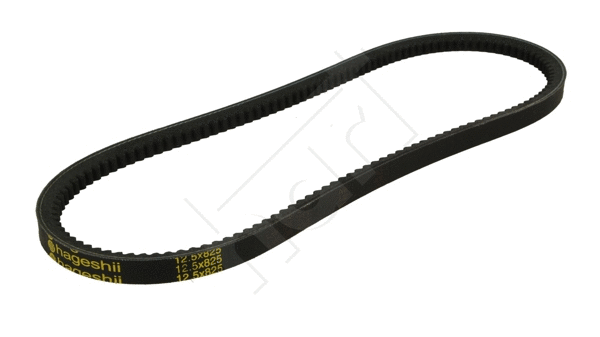 V-Belt (334 192)