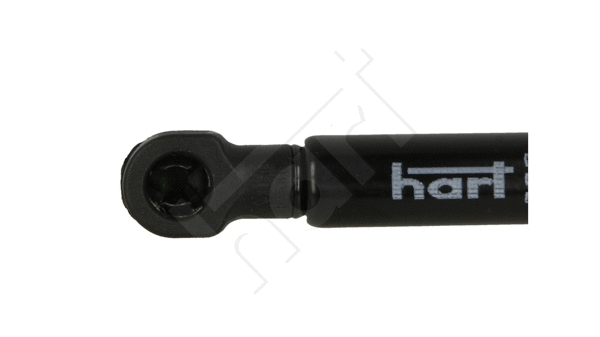 Gas Spring, rear window