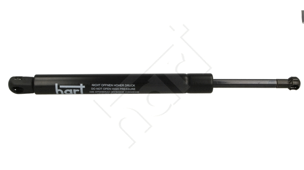 Gas Spring, boot/cargo area (810 393)