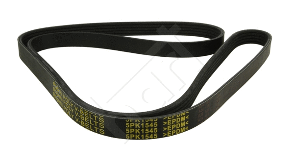 V-Ribbed Belt (368 876)