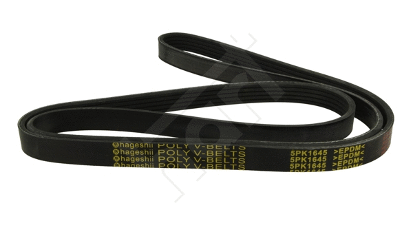 V-Ribbed Belt (368 878)