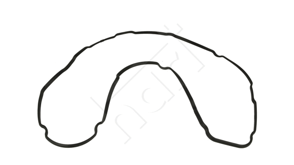 Gasket, cylinder head cover (710 123)