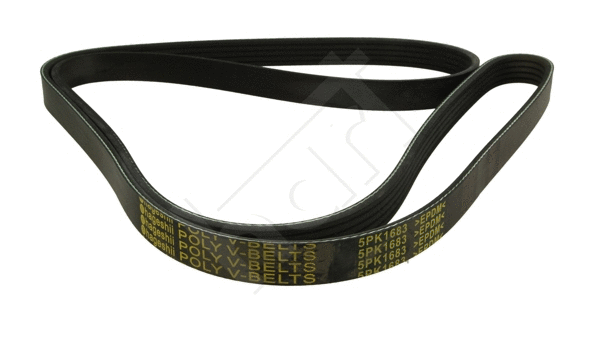 V-Ribbed Belt (368 879)