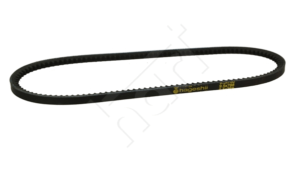 V-Belt (338 038)