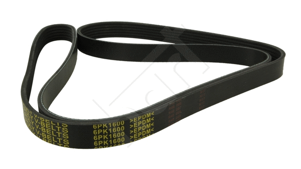 V-Ribbed Belt (368 952)