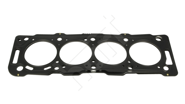 Gasket, cylinder head (717 075)
