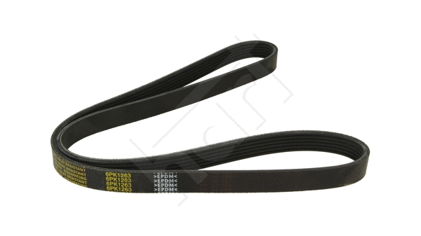 V-Ribbed Belt (917 769)