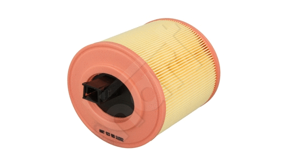 Air Filter (923 905)