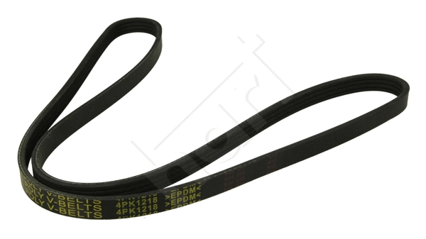 V-Ribbed Belt (368 844)