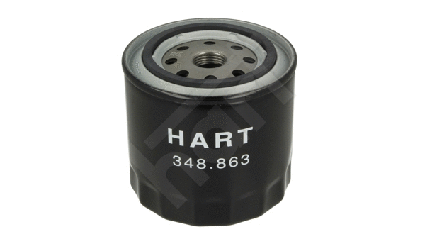 Oil Filter (348 863)