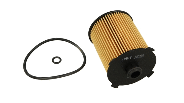 Oil Filter (917 598)