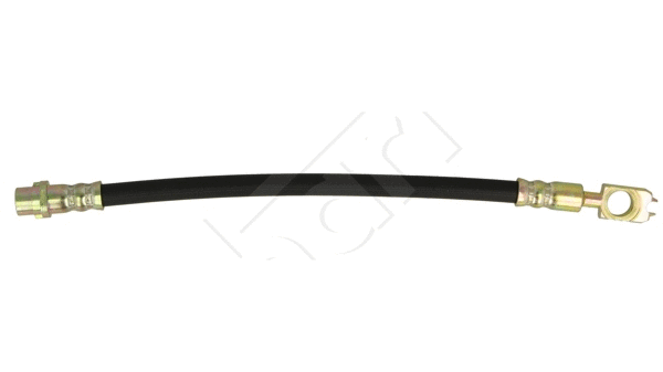 Brake Hose (232 547)