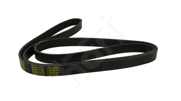 V-Ribbed Belt (368 960)