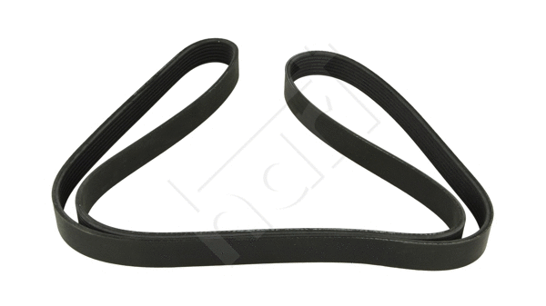 V-Ribbed Belt (917 754)