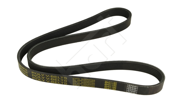 V-Ribbed Belt (917 772)