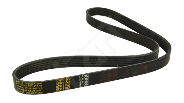 V-Ribbed Belt (334 316)