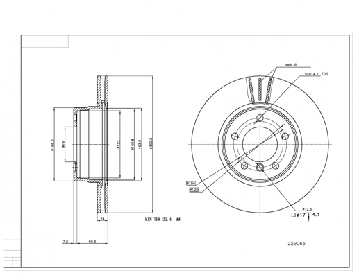 Brake Disc (229 065)