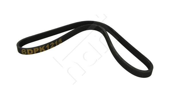 V-Ribbed Belt (917 753)