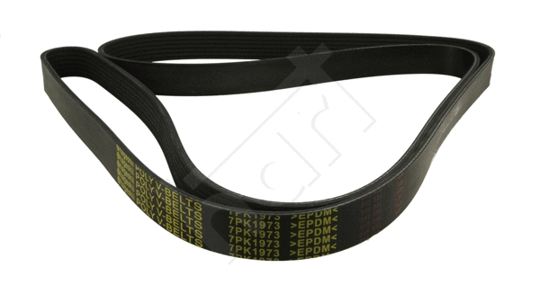 V-Ribbed Belt (369 014)