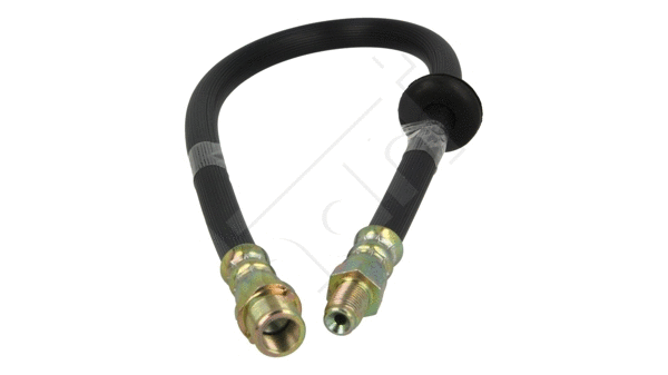 Brake Hose (220 404)