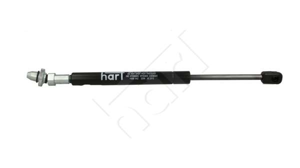 Gas Spring, rear window (808 442)